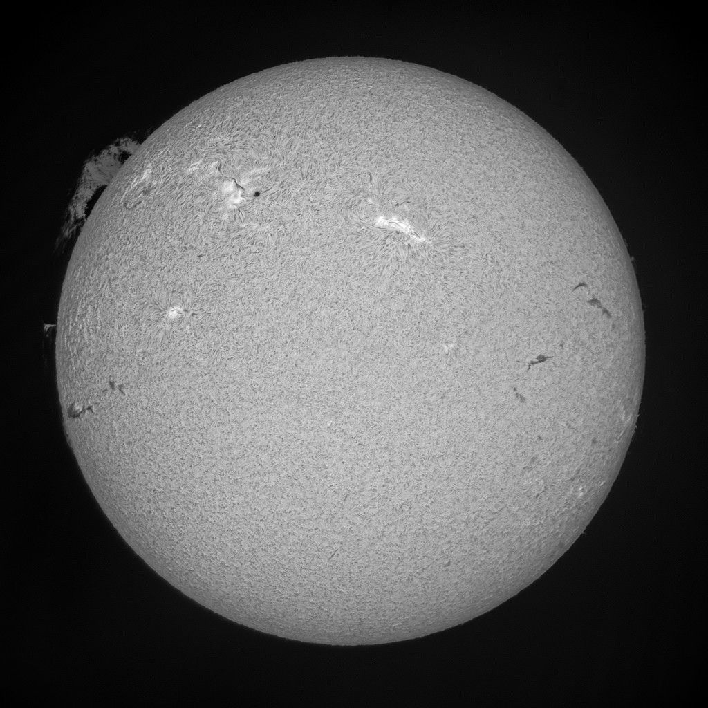 Final solar disk and prominence composite image, Paul Stewart