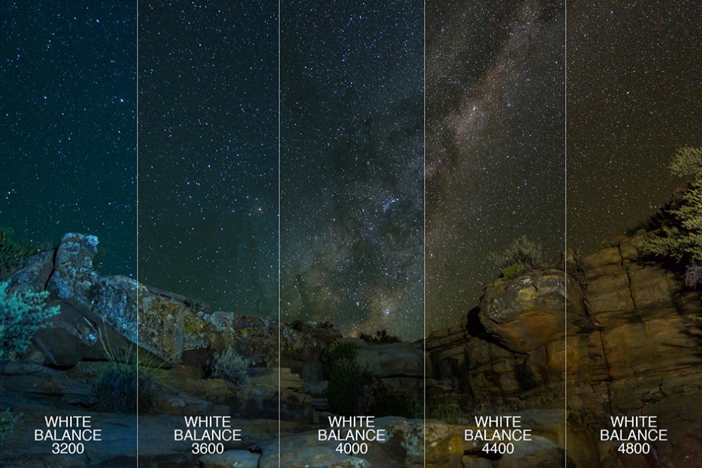 How to Choose the Correct White Balance •